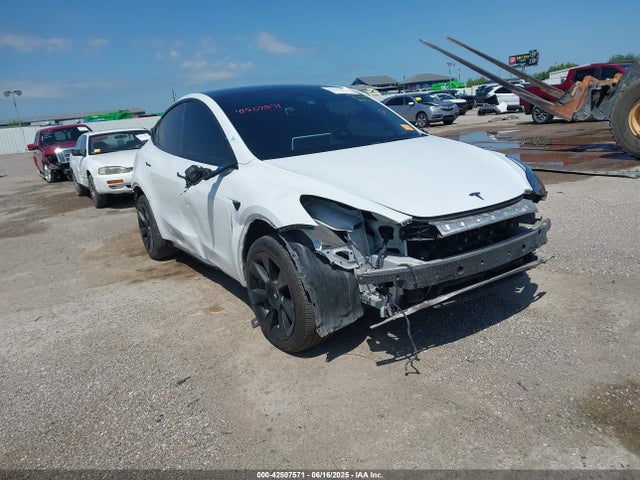 2023 TESLA MODEL Y 7SAYGDEE0PA178495 Photo 0