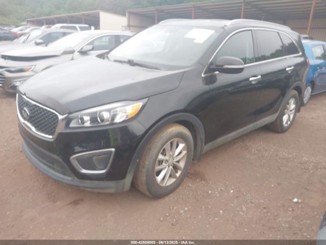 5XYPG4A56GG094191 KIA Sorento 3.3l Lx