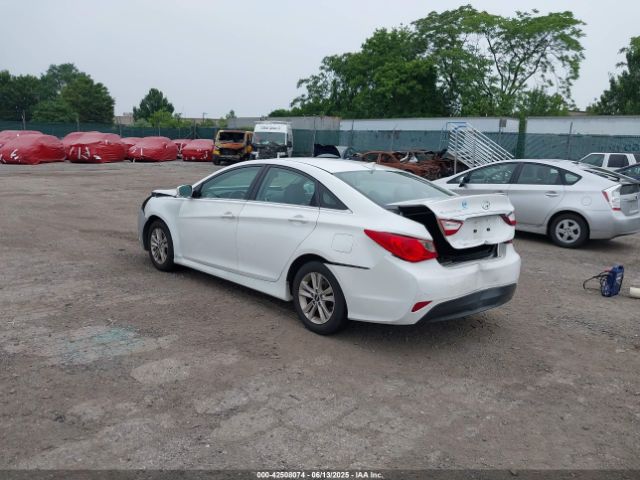 5NPEB4AC0EH858062 Hyundai gamma
