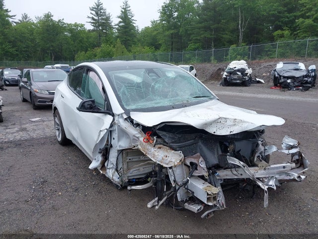 2023 TESLA MODEL Y 7SAYGDEE5PF892772 Photo 0