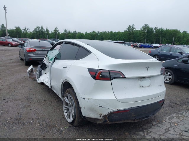 2023 TESLA MODEL Y 7SAYGDEE5PF892772 Photo 2