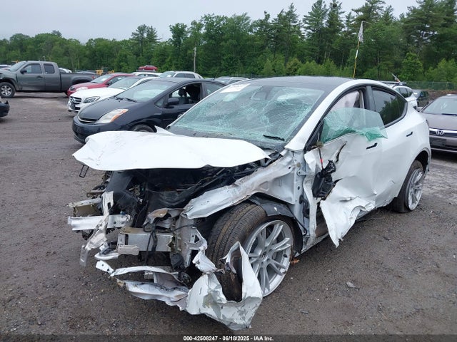 2023 TESLA MODEL Y 7SAYGDEE5PF892772 Photo 5