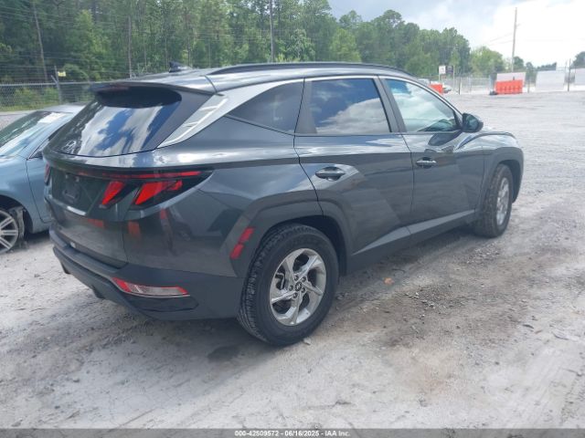 5NMJB3DE6RH362546 Hyundai TUCSON SEL
