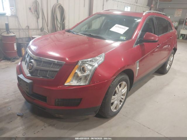 2010 CADILLAC SRX 3GYFNDEY6AS651865 Photo 1