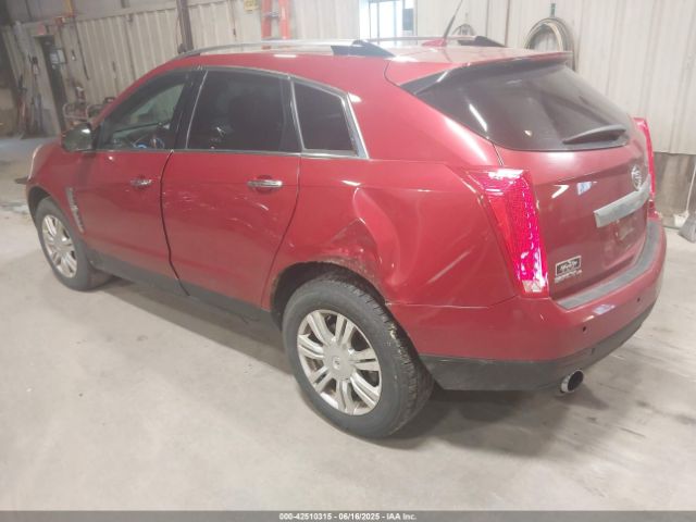 2010 CADILLAC SRX 3GYFNDEY6AS651865 Photo 2