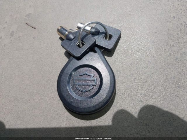 2016 HARLEY-DAVIDSON FLHTKL 1HD1KKL14GB676236 Photo 10