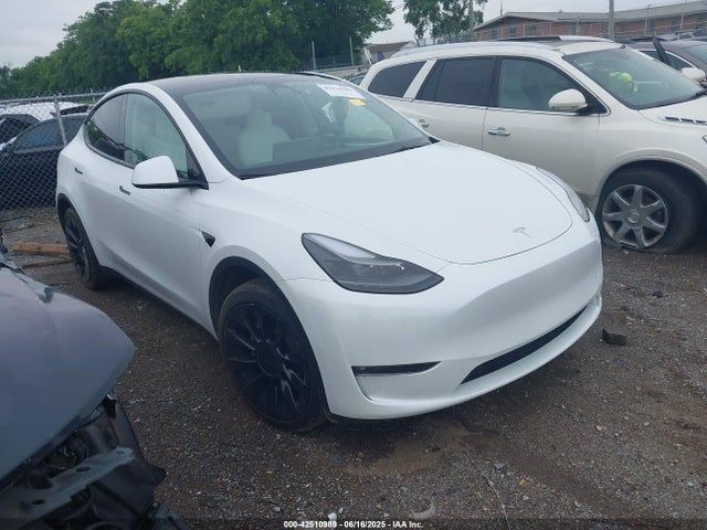 2023 TESLA MODEL Y 7SAYGDEE7PF754571 Photo 0