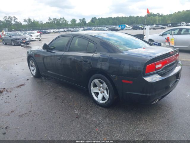 2013 DODGE CHARGER 2C3CDXAT5DH575686 Photo 2