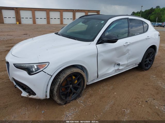 2021 ALFA ROMEO STELVIO ZASPAKBNXM7D15750 Photo 1