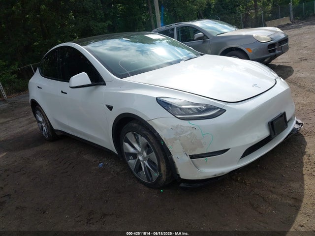 2021 TESLA MODEL Y 5YJYGDEE1MF302060 Photo 0