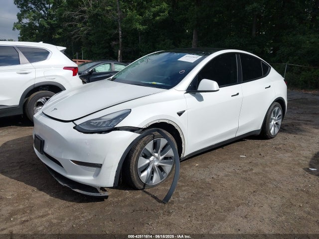 2021 TESLA MODEL Y 5YJYGDEE1MF302060 Photo 1