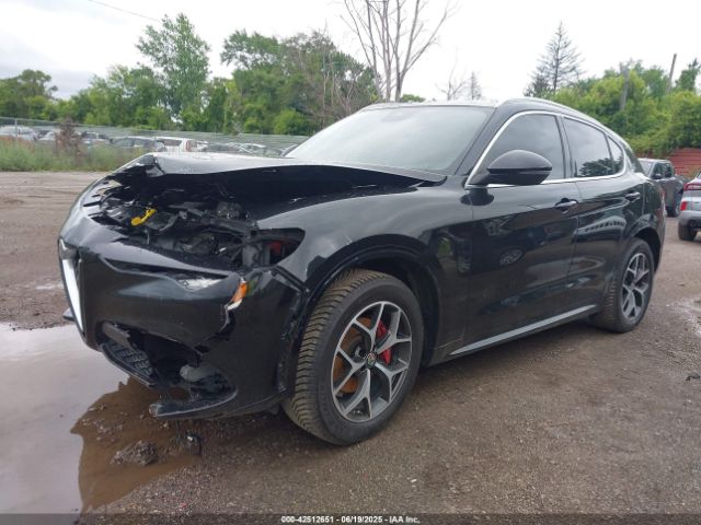 2021 ALFA ROMEO STELVIO ZASPAKBN4M7D13072 Photo 1