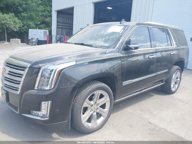 2017 CADILLAC ESCALADE 1GYS4DKJ2HR123231 Photo 1