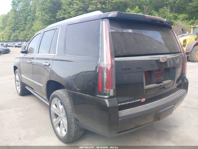 2017 CADILLAC ESCALADE 1GYS4DKJ2HR123231 Photo 2