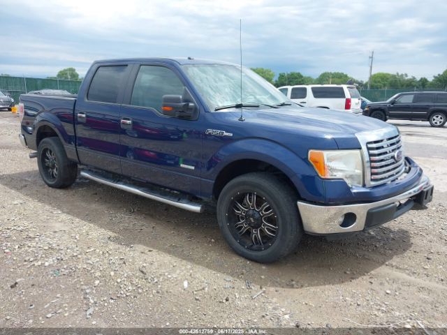 2011 FORD F-150 1FTFW1CT7BFC13404