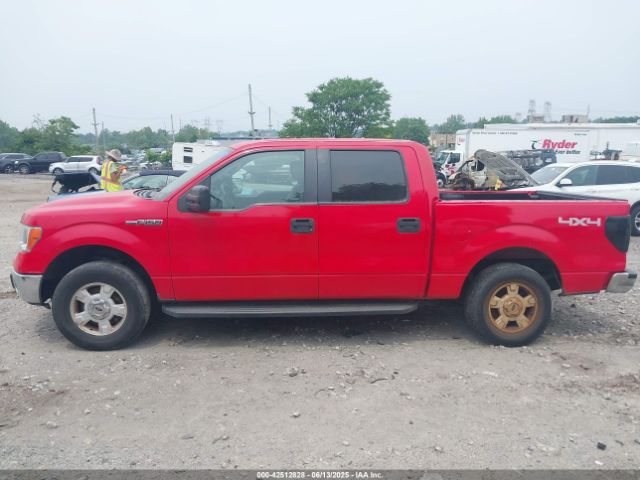 1FTFW1EF9EFB18466 Ford F-150 Xlt