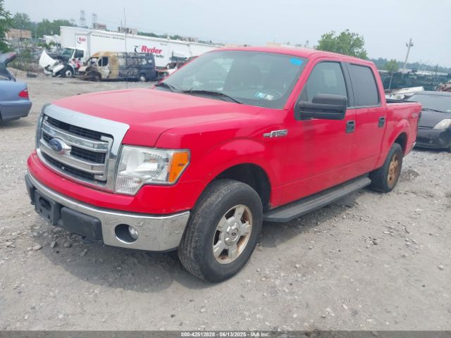 1FTFW1EF9EFB18466 Ford F-150 Xlt