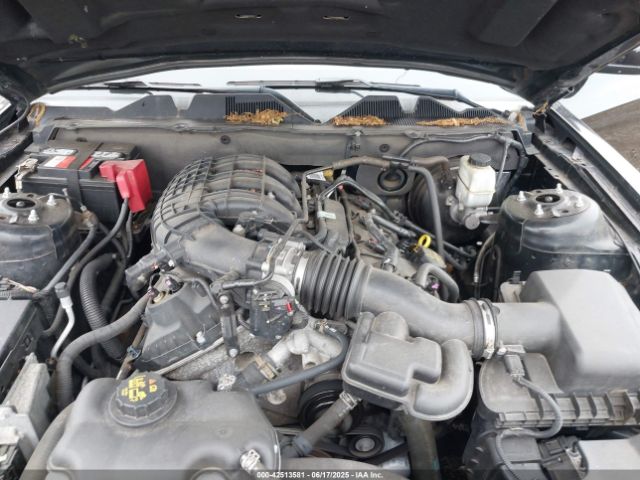 2014 FORD MUSTANG 1ZVBP8AMXE5246260 Photo 9