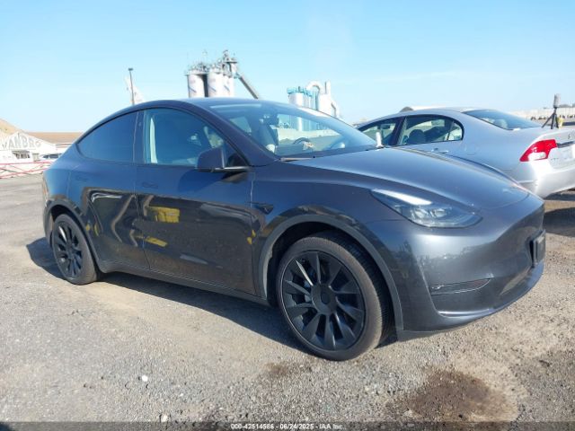 2024 TESLA MODEL Y 7SAYGDED8RF158878