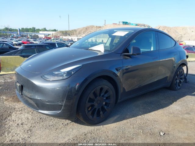 2024 TESLA MODEL Y 7SAYGDED8RF158878 Photo 1