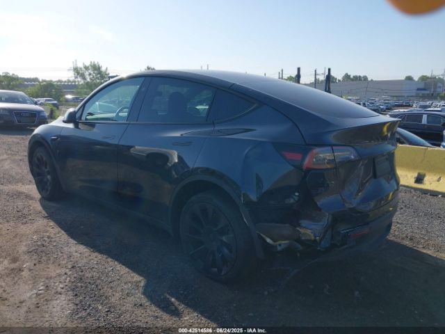 2024 TESLA MODEL Y 7SAYGDED8RF158878 Photo 2