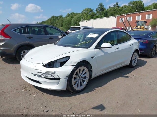 2023 TESLA MODEL 3 5YJ3E1EA2PF484335 Photo 1