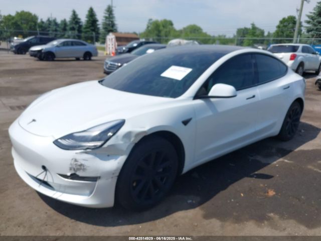 2020 TESLA MODEL 3 5YJ3E1EA7LF598986 Photo 1