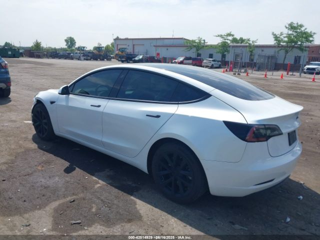 2020 TESLA MODEL 3 5YJ3E1EA7LF598986 Photo 2