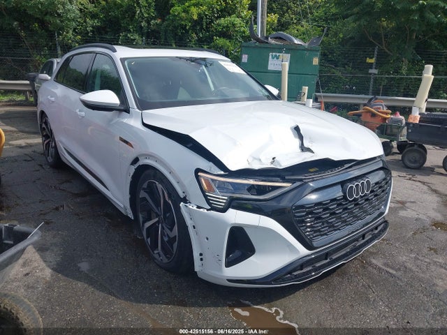 2024 AUDI Q8 E-TRON WA16AAGE9RB036425 Photo 0