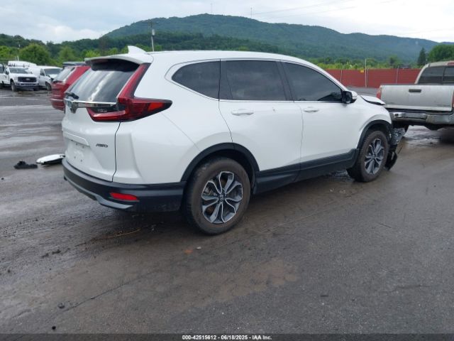 2021 HONDA CR-V 5J6RW2H53ML008271 Photo 3