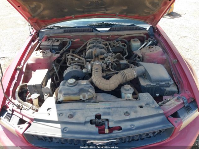 2005 FORD MUSTANG 1ZVFT80N255228536 Photo 9