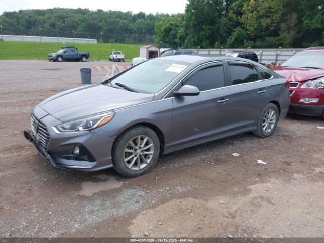 2019 HYUNDAI SONATA 5NPE24AF9KH747080 Photo 1