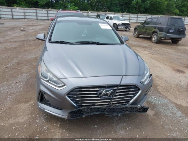 2019 HYUNDAI SONATA 5NPE24AF9KH747080 Photo 5