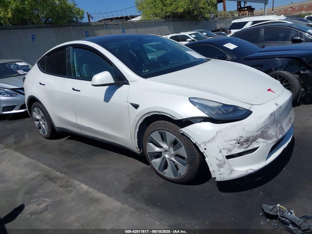2021 TESLA MODEL Y 5YJYGDEE5MF214886 Photo 0