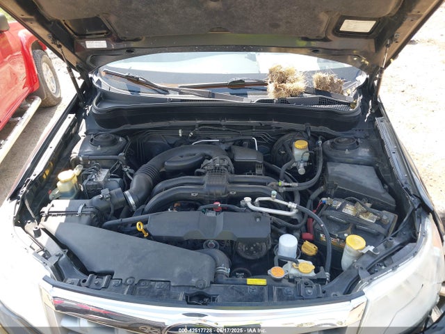 42517728 :رقم المزاد ، JF2SHADC5DH445547 vin ، 2013 Subaru Forester 2.5x Premium مزاد بيع