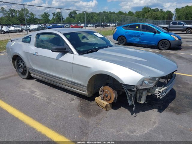 2010 FORD MUSTANG 1ZVBP8AN4A5147985