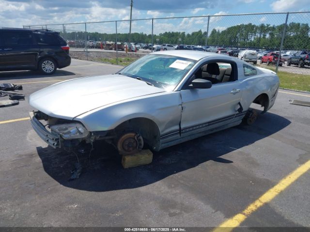 2010 FORD MUSTANG 1ZVBP8AN4A5147985 Photo 1