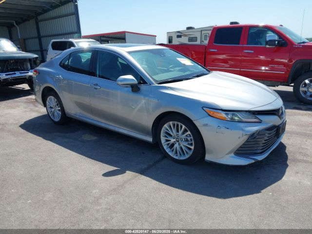 2019 TOYOTA CAMRY 4T1B21HK1KU515160
