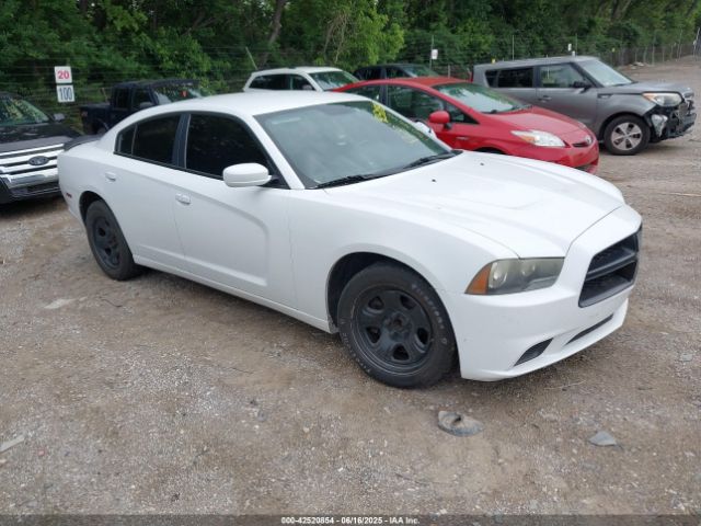2013 DODGE CHARGER 2C3CDXAT8DH538423