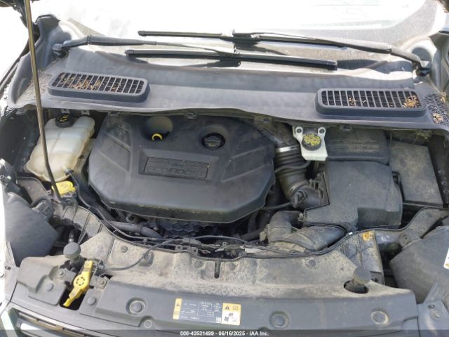1FMCU9J94EUA56456 Ford Escape Titanium
