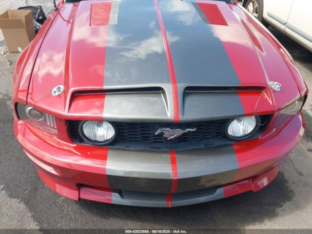 2008 FORD MUSTANG 1ZVHT82H885111628 Photo 5