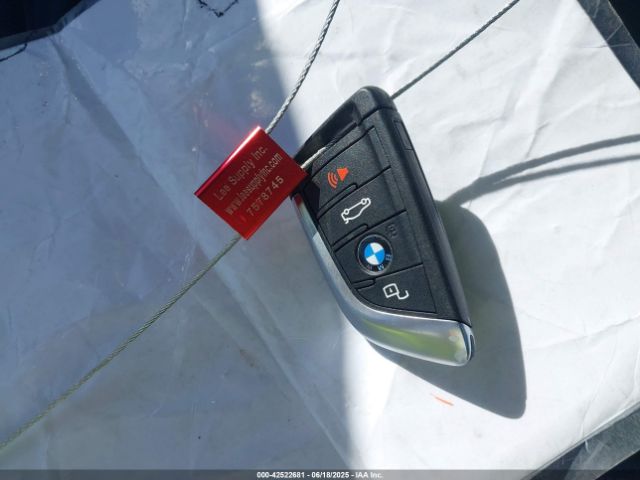 2021 BMW X3 PHEV 5UXTS1C08M9H70605 Photo 10