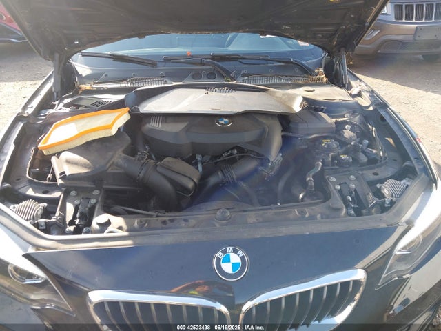 BMW 230I 2018 WBA2J3C59JVA49913 Image 10