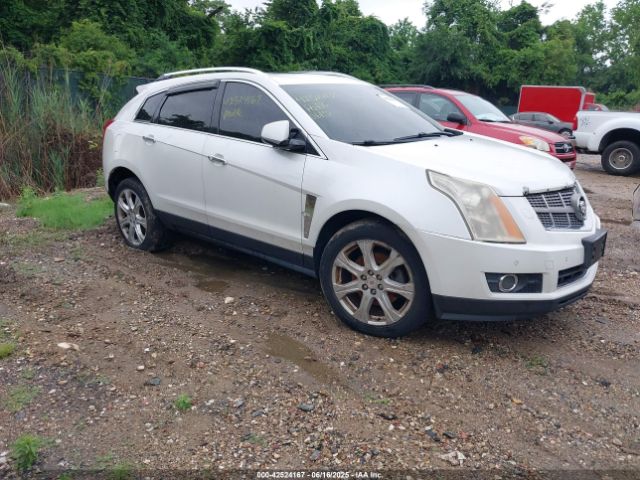 2010 CADILLAC SRX 3GYFNCEY4AS569787