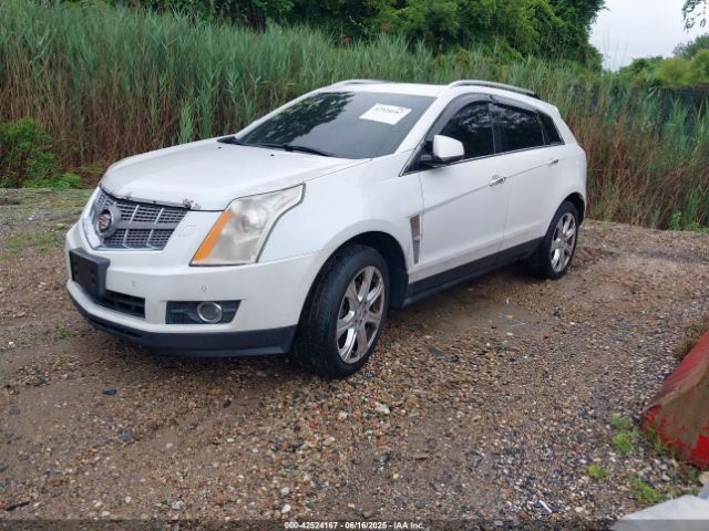 2010 CADILLAC SRX 3GYFNCEY4AS569787 Photo 1