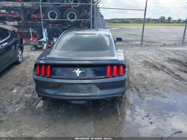 1FA6P8AMXG5251276 Ford 2016