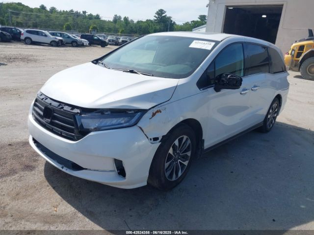 2023 HONDA ODYSSEY 5FNRL6H60PB056011 Photo 1