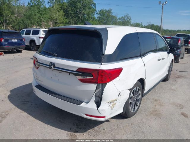 2023 HONDA ODYSSEY 5FNRL6H60PB056011 Photo 3