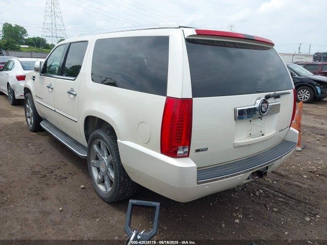 2009 CADILLAC ESCALADE ESV 1GYFK56219R114974 Photo 2