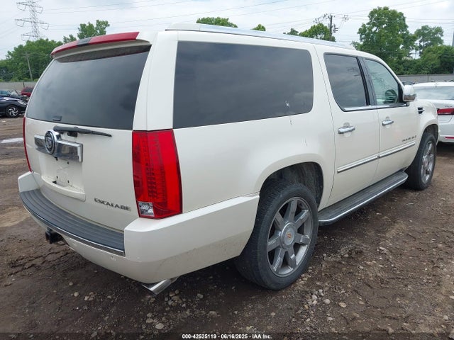 2009 CADILLAC ESCALADE ESV 1GYFK56219R114974 Photo 3